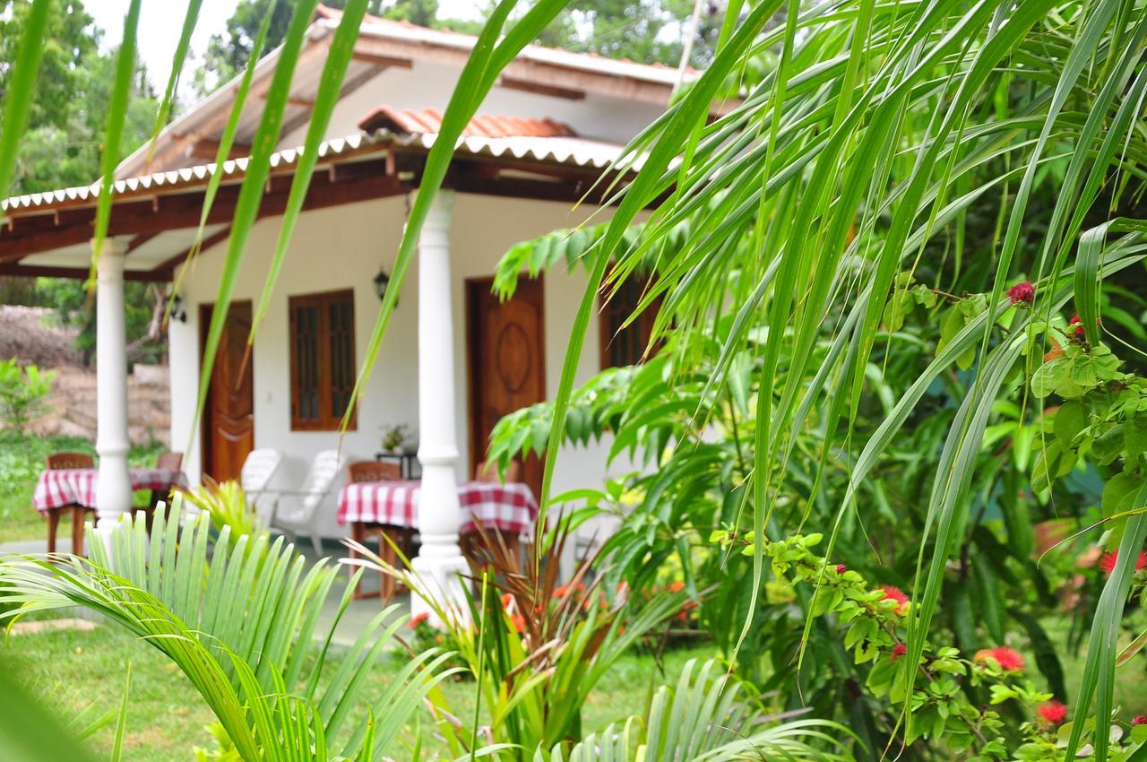 Sigiriya Amenity Home Stay Exteriér fotografie