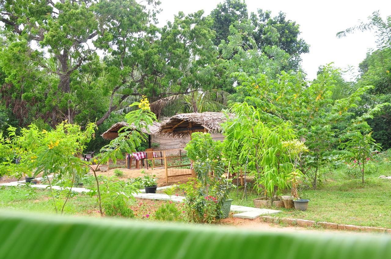 Sigiriya Amenity Home Stay Exteriér fotografie
